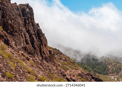 Tenerife - A dramatic cliff dominates the left foreground while a misty valley and evergreen forest unfold below. Clear blue sky contrasts with rugged rock, creating a striking, nature-filled landscape.
