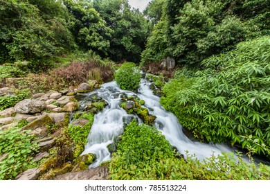 Tengchong City, Tropical Rain Forest Landscape