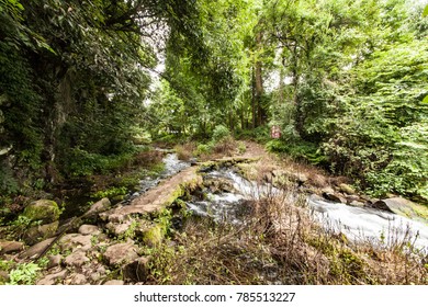 Tengchong City, Tropical Rain Forest Landscape