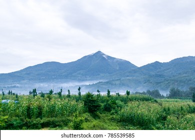 Tengchong City Volcano Park