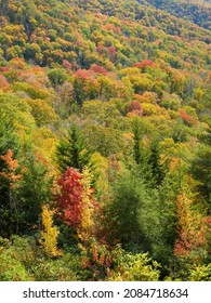 Tennessee Autumn Hillside In Afternoon