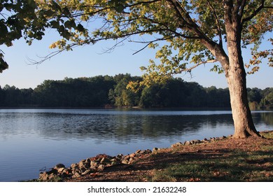 Tennessee River Cove With Tree