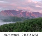 Tennessee smokey mountain Forest and cloud cover.