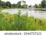 Tenney Park is a 37-acre lakeside park in Madison, Wisconsin featuring a playground, a boat launch, and tennis and pickleball courts.