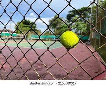 A Tennis Ball Got Stuck In The Fence Hole.