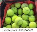 Tennis ball on a basket. Repton, Abu Dhabi. 