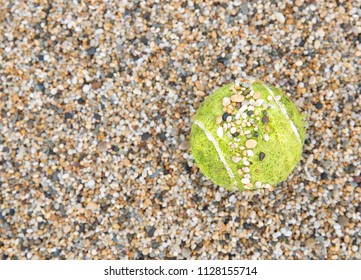 A Tennis Ball On A Gravel Court Covered In Pebbles With Copy Space In A Grass Roots Sport Background Image