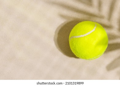 Tennis ball on the sand beach with palm leaves  and net shadows. Tennis competitions in warm countries outdoors