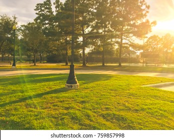 189 Playing field trees sports facility Images, Stock Photos & Vectors ...