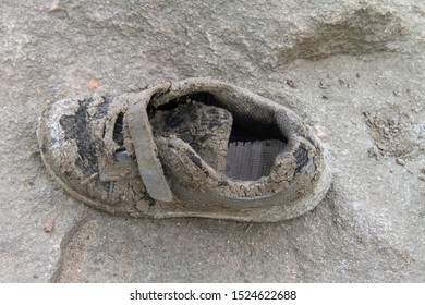 Tennis Shoe Covered With Mud