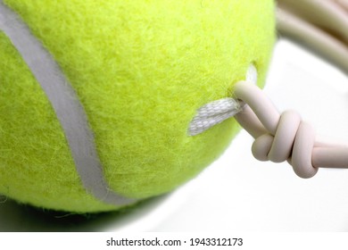 Tennis Trainer Ball With Elastic String Cord For Practice