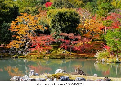 Tenryuji garden features a central pond surrounded by rocks, pine trees and the forest Arashiyama mountains in Autumn at Tenryuji Temple in Arashiyama, Kyoto Japan. - Shutterstock ID 1204453213