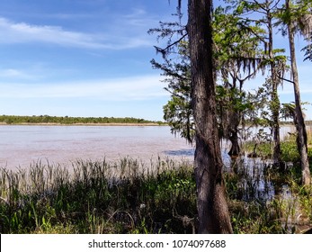 Tensaw River Delta At Historic Blakeley State Park In Spanish Fort, Alabama