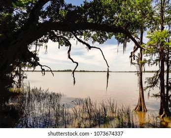 Tensaw River Delta Into Mobile Bay, Alabama