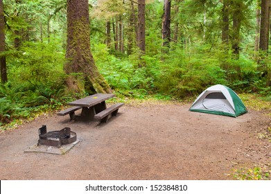 A Tent Camp Site Near Olympic National Park