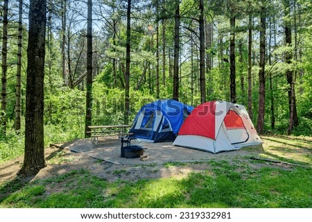 Tent camping in the white pine forest at Maquoketa Caves State Park, Iowa