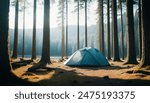 tent in a coniferous mountain forest