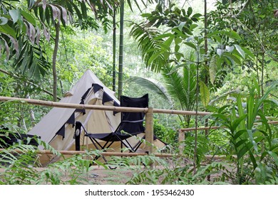 A Tent In A Fenced Area Of A Camp Site In A Green Rainforest In Southeast Asia, No People