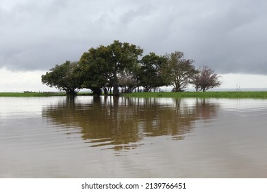 Tent In The Middle Of The Tapajós River