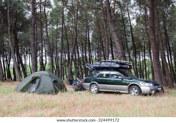 A tent is pitched next to a car with\
bikes in a pine forest. Sunset, evergreen\
trees