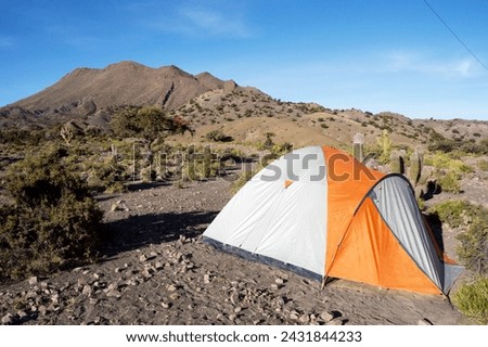 Tent set up among small bushes in an inhospitable region of Bolivia.