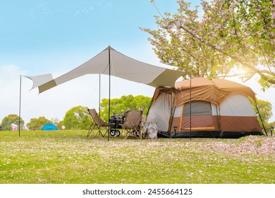 A tent is set up on a grassy field for camping. - Powered by Shutterstock