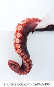 Tentacles Octopus Stock Photo (Edit Now) 169439195