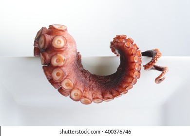 Tentacles of octopus