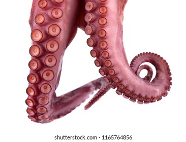 Tentacles of octopus isolated on white background