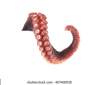 Tentacles Of Octopus Isolated On White Background