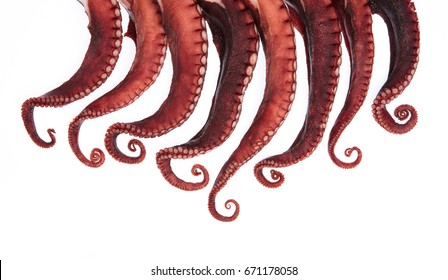 Tentacles Of Octopus Isolated On White Background