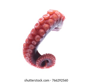 Tentacles Of Octopus Isolated On White Background