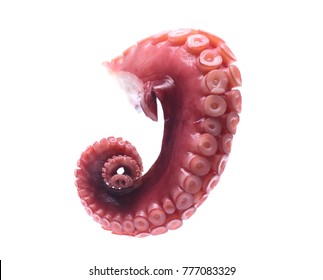 Octopus Arm Stock Photo (Edit Now) 419316190