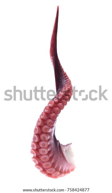 Tentacles Octopus Isolated On White Background Stock Photo 758424877 ...