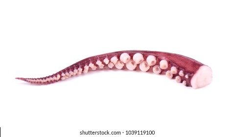 Tentacles Squid Isolated On White Background Stock Photo 1039119100 ...