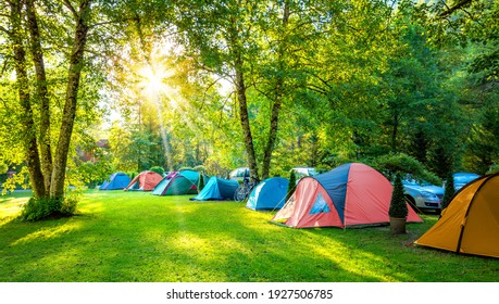 Tents Camping area, early morning. Panoramic landscape.  Natural area with big trees and green grass
