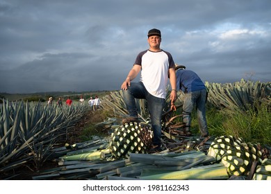 Tequila Jalisco, Mexico - August 15, 2020: The Farmer Is In The Agave Field.