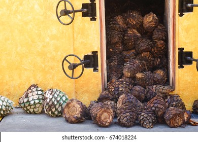 Tequila Production Pina Husks Agave