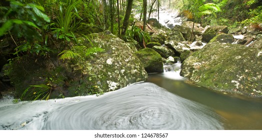 Terania Creek, Nightcap National Park