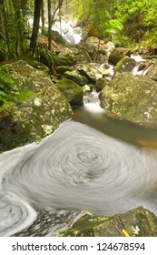 Terania Creek, Nightcap National Park