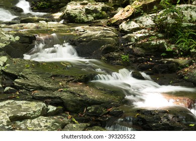 Terania Creek, Nightcap National Park