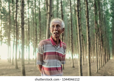 Terengganu, Malaysia - November 17 2018 : A Old Man With White Hair And Mustache ,local Malay People Wearing Collar T Shirt. Pine Forest Tree Background.