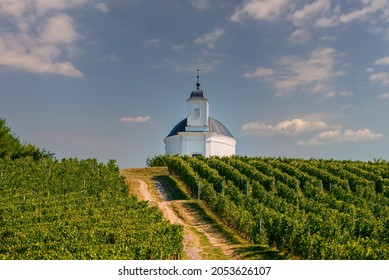 Terez chapel with vineyards in Tokaj region Hungary. Famous wine-producing countryside which a part of Unesco world heritage site. The world famous sweet Tokaji 6 putttonyos aszu wine make here. 