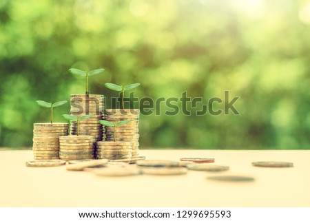 Term fund / time value of money / wealth creation, financial concept : Rising stacks of coins and green sprout, ideas about sustainable asset, fund investment from private income for long term growth