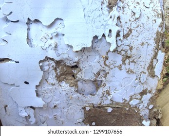 Termite Army Termites Eat Wood Wall Stock Photo 1299107656 | Shutterstock