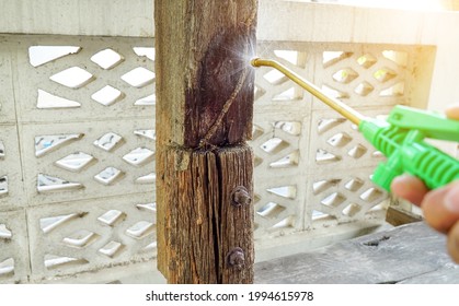 Termite Control Technicians Use Equipment And Solutions To Kill Termites Infested Wood. 