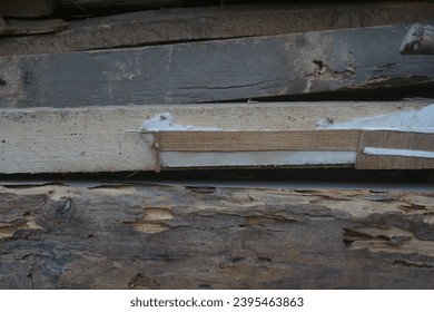 termite damage on wooden texture - Shutterstock ID 2395463863
