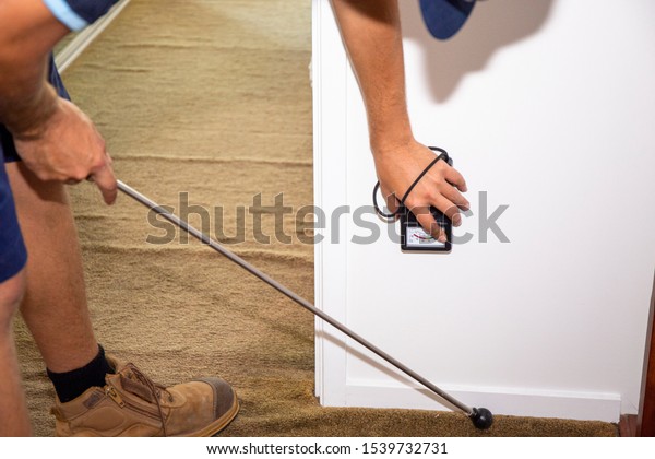 Termite inspector check\
inside the house