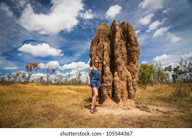 Termite mounds (Nasutitermes triodae), Kakadu National Park, Australia