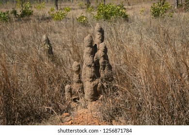 Termite Mounds, North East Arnhem Land, Northern Territory